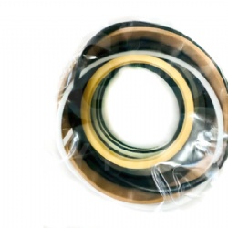 Arm Cylinder Seal Kit 215-9990 2159990 for Caterpillar #Arm Cylinder Seal Kit #215-9990 #2159990 #CAT 215-9990 2159990 Arm Cylinder Seal Kit