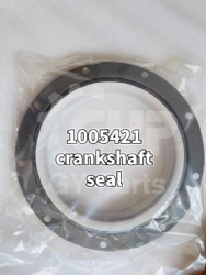14M 3176 E345DL E349D crankshaft seal 1005421